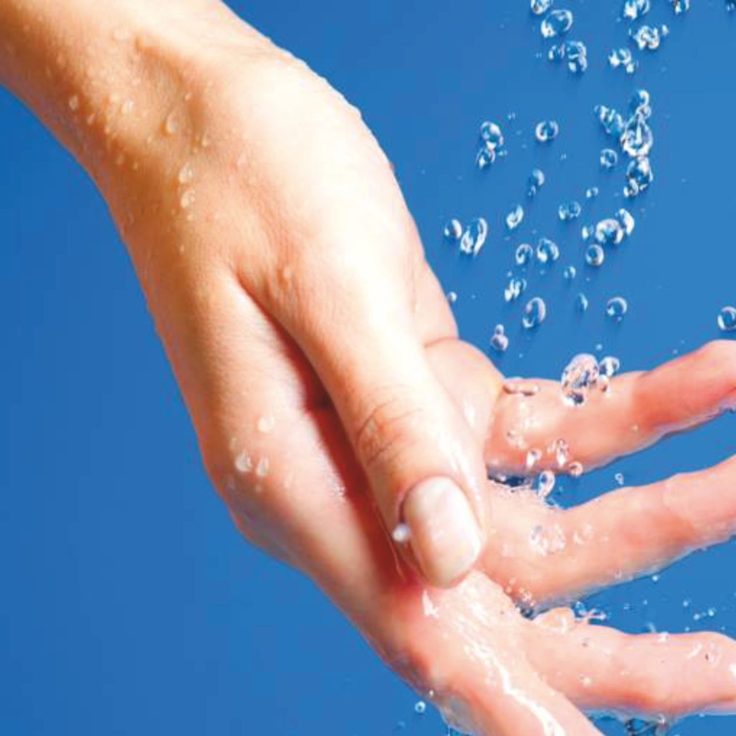 Everybody is talking about saving water.
